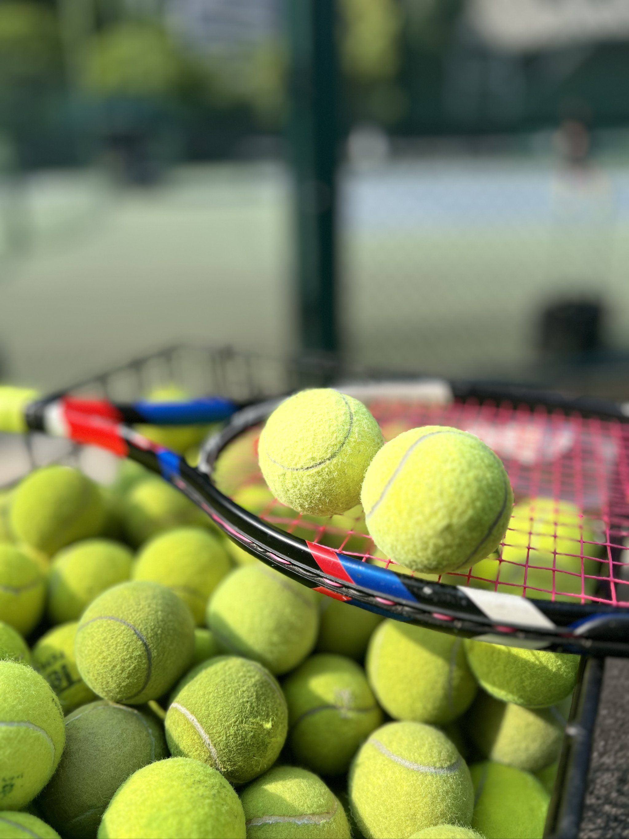 保持这种对 保持这种对